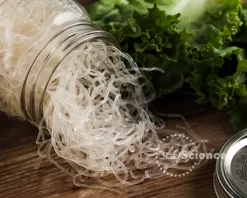 360Scienceā¢: Structures And Properties Of Polymers