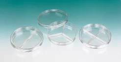 Petri Dishes, Disposable, Divided