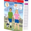 Human Body—NewPath Visual Learning Guide
