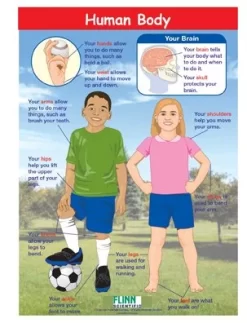 Human Body—NewPath Visual Learning Guide -Learn and experiment ap10751 1