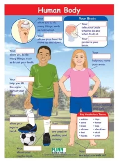 Human Body—NewPath Visual Learning Guide -Learn and experiment ap10751 2
