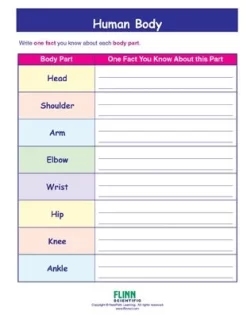 Human Body—NewPath Visual Learning Guide -Learn and experiment ap10751 3