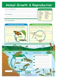 Animal Growth & Reproduction—NewPath Visual Learning Guide -Learn and experiment ap10934 2