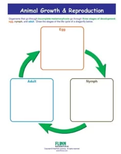 Animal Growth & Reproduction—NewPath Visual Learning Guide -Learn and experiment ap10934 3