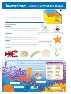 Invertebrates—Animals Without Backbones—NewPath Visual Learning Guide -Learn and experiment ap10942 2