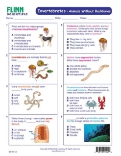 Invertebrates—Animals Without Backbones—NewPath Visual Learning Guide -Learn and experiment ap10942 4