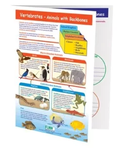 Vertebrates—Animals With Backbones—NewPath Visual Learning Guide