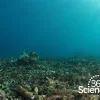 360Storylines—Ocean Acidity, 1-Year Access