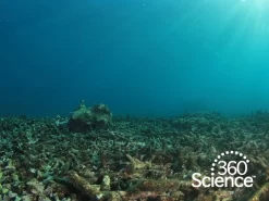 360Storylines—Ocean Acidity, 1-Year Access