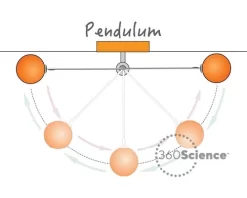 360Scienceā¢: Investigate Gravity Using Pendulums