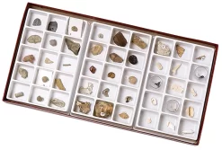 Stratigraphic Fossil Collection, Advanced