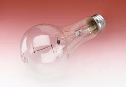 Lamp Bulb, LED, 20 Watt