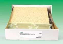 Sun–Earth Motion—Student Activity Kit 5 Sun–Earth Motion—Student Activity Kit -Learn and experiment ap6625 e