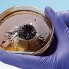 Ferrofluid Nanotechnology—Chemical Demonstration Kit