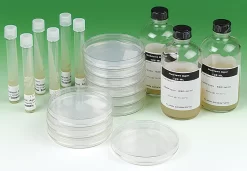 Tryptic Soy Agar, Pkg. Of 10 Plates