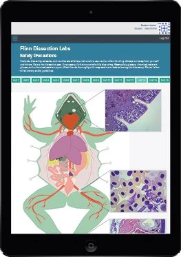 Grass Frog Digital Bundles 2 Grass Frog Digital Bundles - Image 2