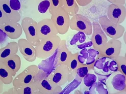 Grass Frog Digital Bundles 9 Grass Frog Digital Bundles -Learn and experiment el7001 5