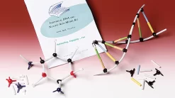 Individual DNA And Molecular Model Kit