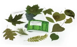 Leaf Identification—Super Value Kits