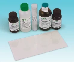 Plant Pigment Chromatography—Student Laboratory Kit