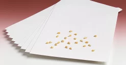 Blotting Paper, 12" X 19", Pkg. Of 10