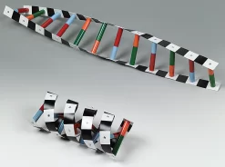 DNA Model