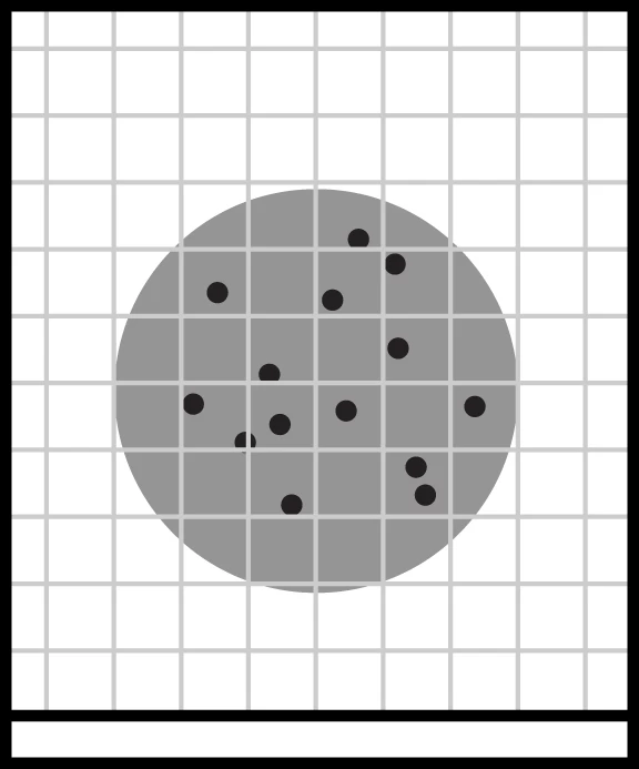 3M® Petriflim™ 2 3M® Petriflim™ - Image 2