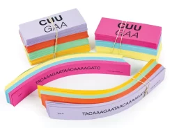 Genetic Code—Super Value Kit