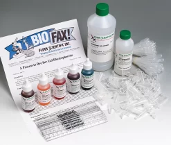 A Process To Dye For: Gel Electrophoresis—Laboratory Kits