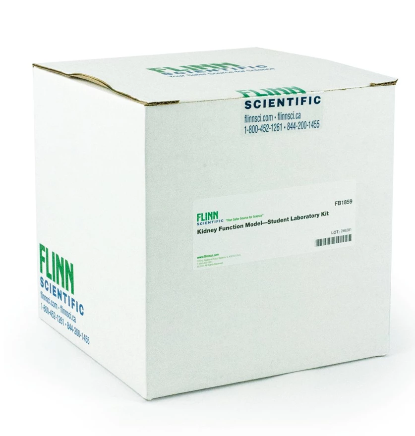 Kidney Function Model—Student Laboratory Kit 2 Kidney Function Model—Student Laboratory Kit - Image 2