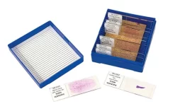 Investigating Tissue Microscopy—Forensic Super Value Laboratory Kit