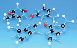 Nucleotide Model Kit
