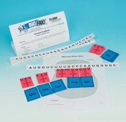 Protein Synthesis—Student Laboratory Kit