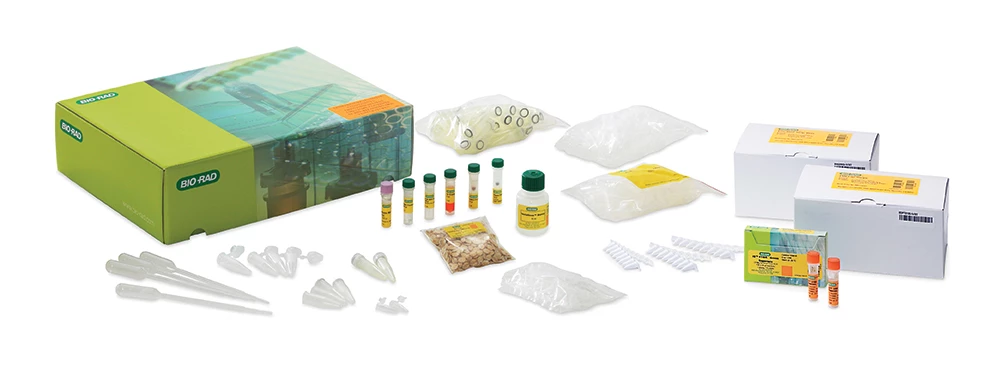 Bio-Rad GMO Real-Time PCR Starter Kit 1 Bio-Rad GMO Real-Time PCR Starter Kit
