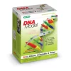 Bio-Rad DNA Model Kit