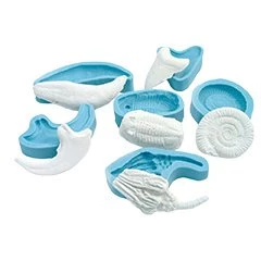 Fossilworks Fossil Molding Kit