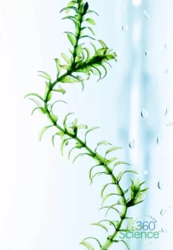 360Scienceā¢: Climate Change And The Carbon Cycle