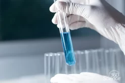 360Scienceā¢: Evaluate The Thermal Equilibrium Of Metals