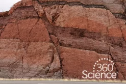 360Science™: Construct Fault Models