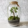 360Science™: Microhabitat In A Bottle