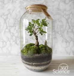360Scienceā¢: Microhabitat In A Bottle