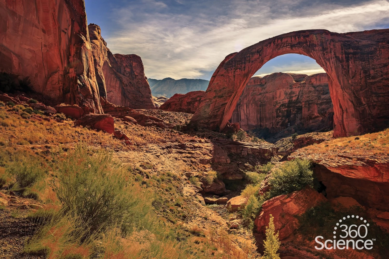 360Science™: The Formation Of Soil 1 360Science™: The Formation Of Soil