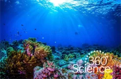 360Science™: Carbon Dioxide Levels In Water
