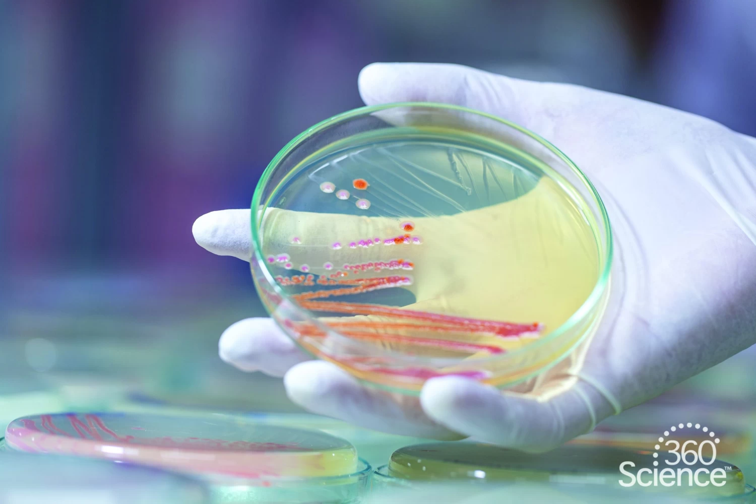 360Science™: Gene Expression In Bacteria 1 360Science™: Gene Expression In Bacteria