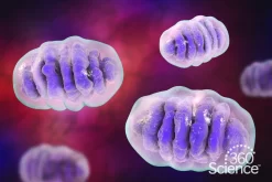 360Scienceā¢: Cellular Respiration