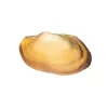 Clams, Preserved, 4–5", Pkg. Of 10