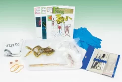 Anatomy Explorer Kits With Dissection Tools