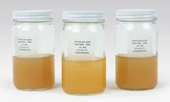 Tryptic Soy Agar, Prepared Bottles, Pkg. Of 3